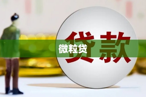 富源微粒贷