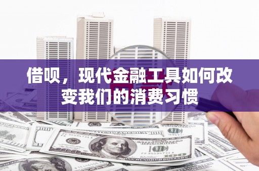 富源借呗，现代金融工具如何改变我们的消费习惯