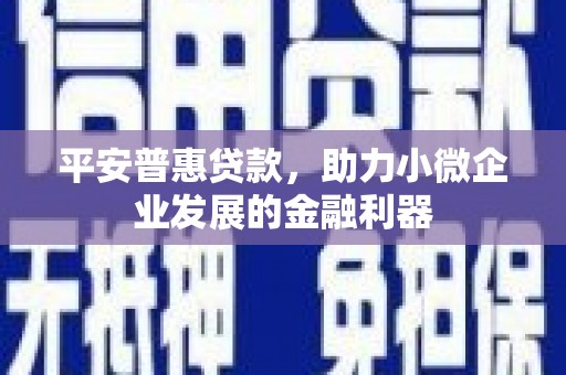 富源平安普惠贷款，助力小微企业发展的金融利器