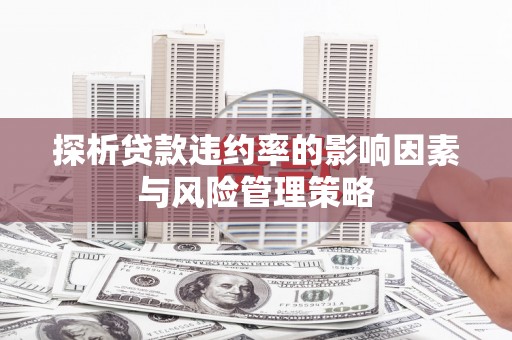富源探析贷款违约率的影响因素与风险管理策略