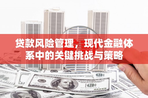 富源贷款风险管理，现代金融体系中的关键挑战与策略