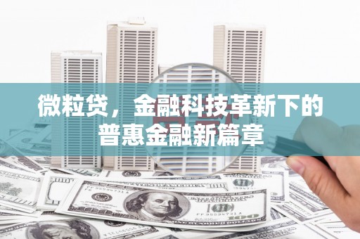 富源微粒贷，金融科技革新下的普惠金融新篇章