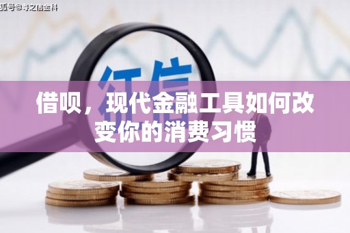 富源借呗，现代金融工具如何改变你的消费习惯