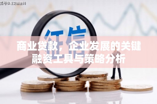富源商业贷款，企业发展的关键融资工具与策略分析