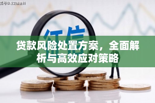 富源贷款风险处置方案，全面解析与高效应对策略