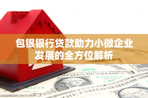 富源包银银行贷款助力小微企业发展的全方位解析