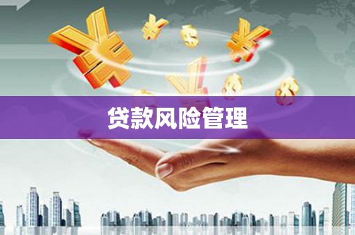 富源贷款风险管理