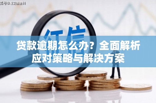 富源贷款逾期怎么办？全面解析应对策略与解决方案
