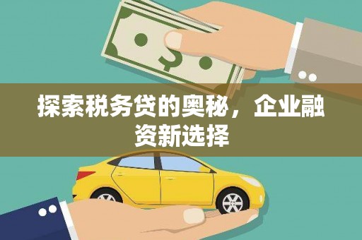 富源探索税务贷的奥秘，企业融资新选择