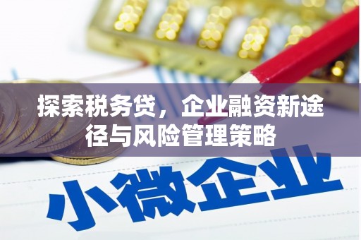 富源探索税务贷，企业融资新途径与风险管理策略