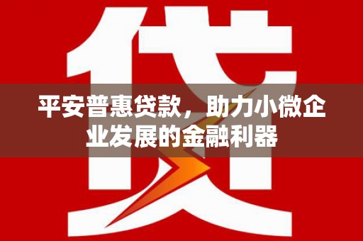 富源平安普惠贷款，助力小微企业发展的金融利器
