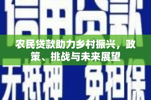 富源农民贷款助力乡村振兴，政策、挑战与未来展望