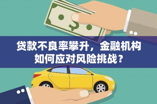 富源贷款不良率攀升，金融机构如何应对风险挑战？