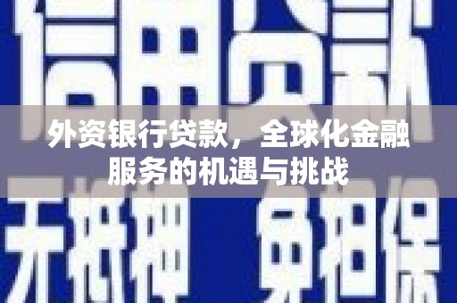 富源外资银行贷款，全球化金融服务的机遇与挑战