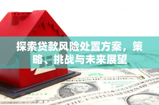富源探索贷款风险处置方案，策略、挑战与未来展望