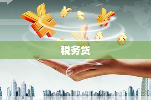 富源税务贷