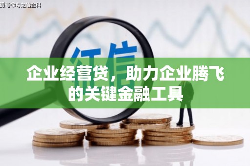 富源企业经营贷，助力企业腾飞的关键金融工具