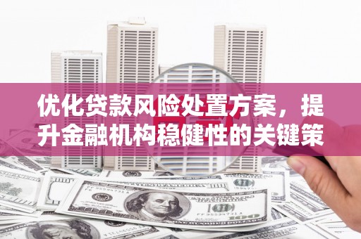 富源优化贷款风险处置方案，提升金融机构稳健性的关键策略
