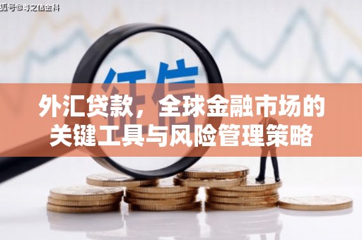 富源外汇贷款，全球金融市场的关键工具与风险管理策略