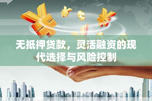 富源无抵押贷款，灵活融资的现代选择与风险控制