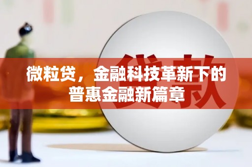 富源微粒贷，金融科技革新下的普惠金融新篇章