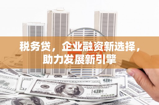 富源税务贷，企业融资新选择，助力发展新引擎