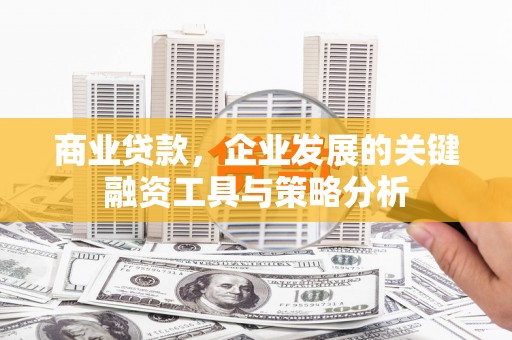 富源商业贷款，企业发展的关键融资工具与策略分析