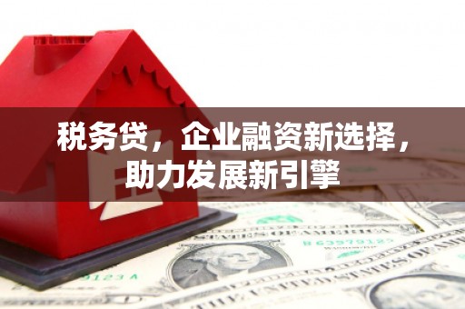 富源税务贷，企业融资新选择，助力发展新引擎
