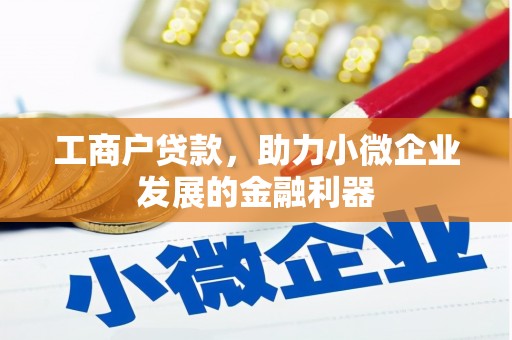 富源工商户贷款，助力小微企业发展的金融利器