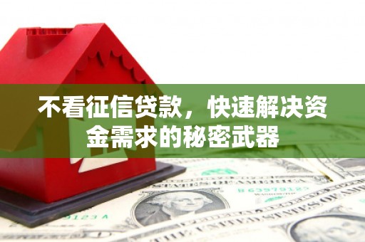 富源不看征信贷款，快速解决资金需求的秘密武器