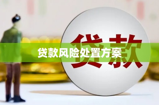 富源贷款风险处置方案