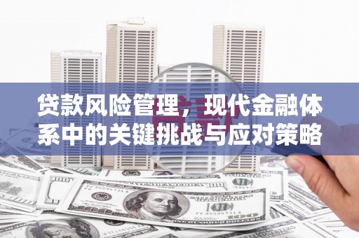 富源贷款风险管理，现代金融体系中的关键挑战与应对策略