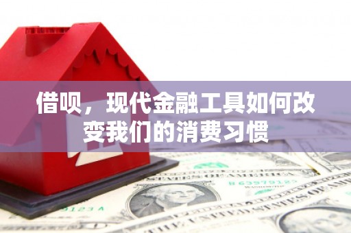 富源借呗，现代金融工具如何改变我们的消费习惯