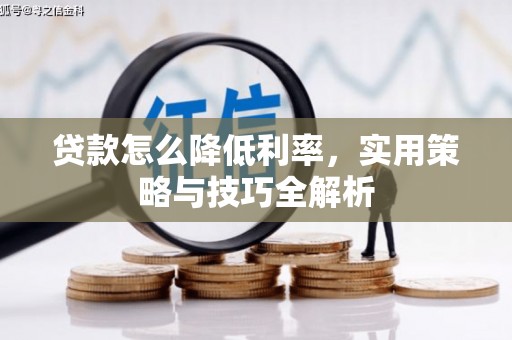 富源贷款怎么降低利率，实用策略与技巧全解析