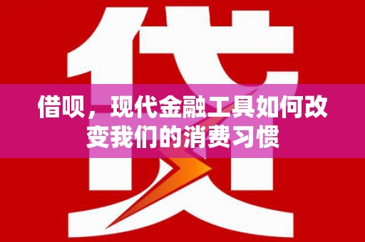 富源借呗，现代金融工具如何改变我们的消费习惯