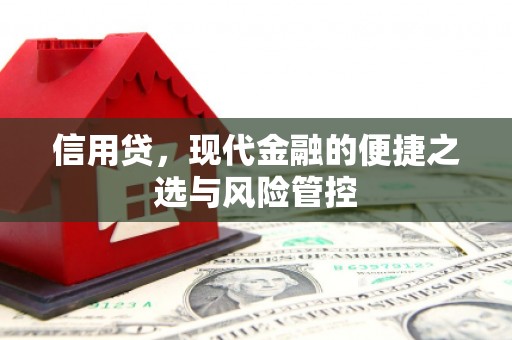 富源信用贷，现代金融的便捷之选与风险管控