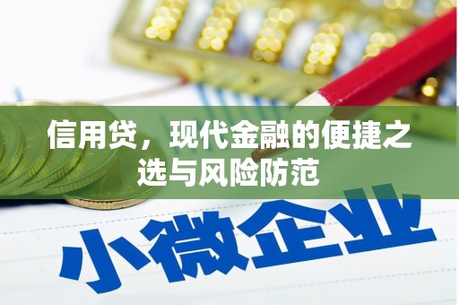 富源信用贷，现代金融的便捷之选与风险防范
