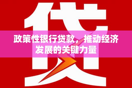 富源政策性银行贷款，推动经济发展的关键力量