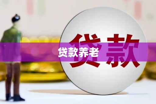富源贷款养老