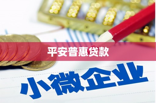 富源平安普惠贷款