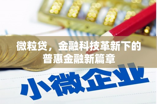 富源微粒贷，金融科技革新下的普惠金融新篇章