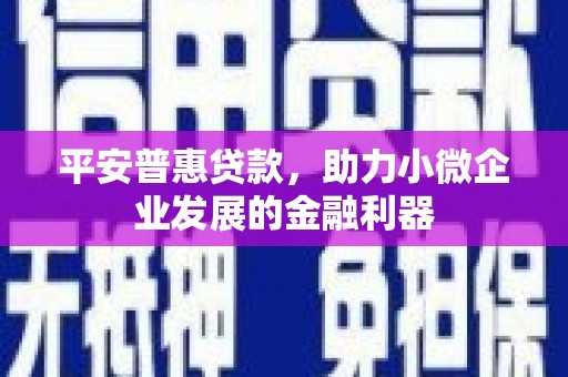 富源平安普惠贷款，助力小微企业发展的金融利器