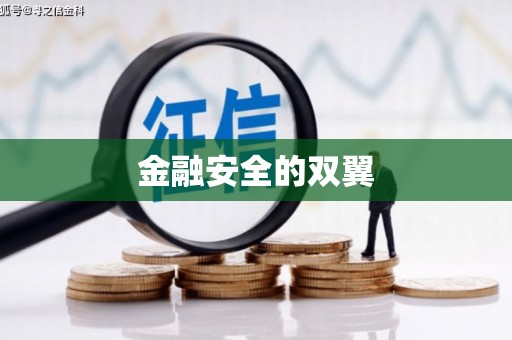富源金融安全的双翼