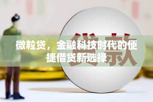 富源微粒贷，金融科技时代的便捷借贷新选择