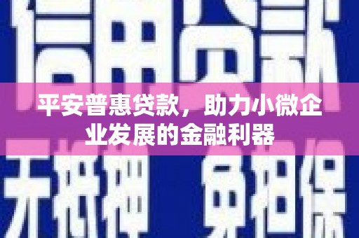 富源平安普惠贷款，助力小微企业发展的金融利器