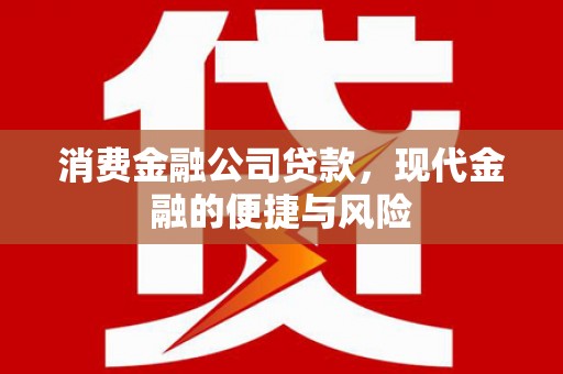 富源消费金融公司贷款，现代金融的便捷与风险