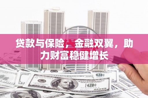 富源贷款与保险，金融双翼，助力财富稳健增长