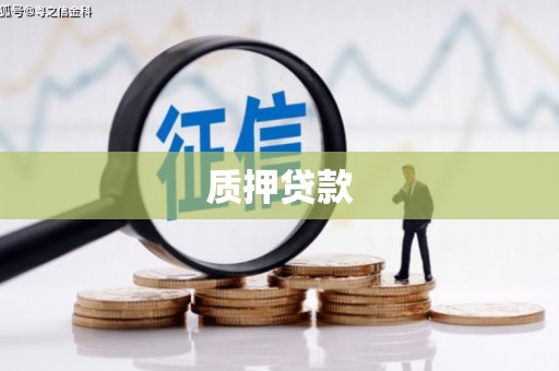 富源质押贷款